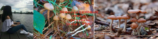 MESCALINE Верхний Тагил