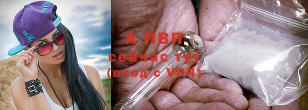 твердый Верея