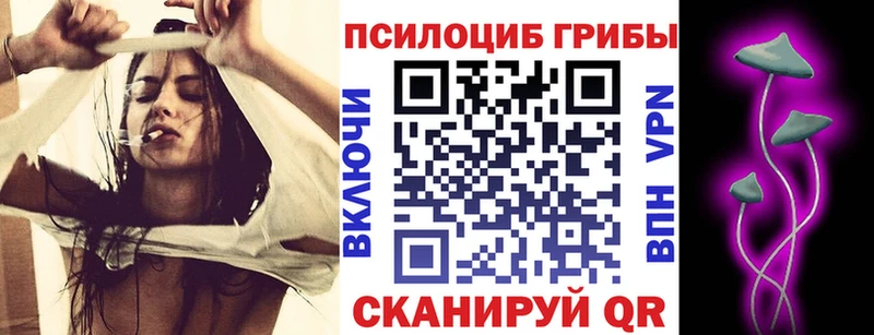 купить  цена  Островной  Псилоцибиновые грибы Psilocybine cubensis 